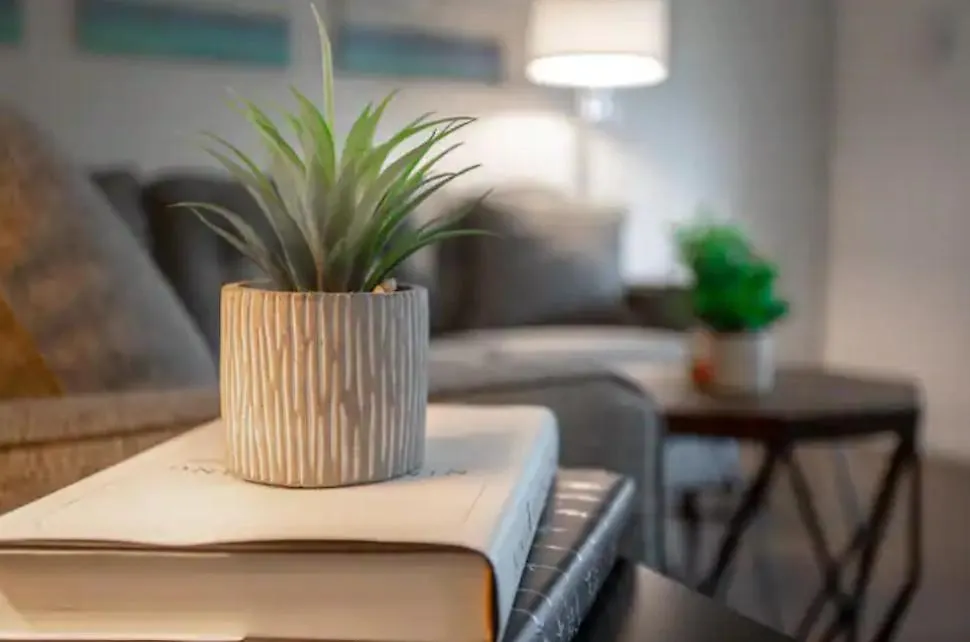 Апартаменты Westshore South Tampa Apt
